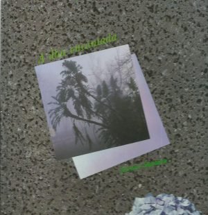 S. Miguel: A Ilha Encantada