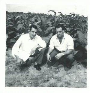 Workers at a Tobacco Plantation in Brantford